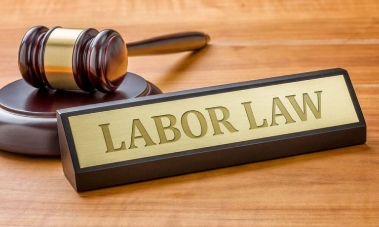 The Undeniable Importance of Employment Law