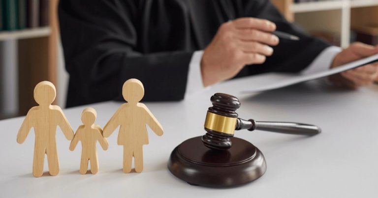 The Basics of Family Law Understanding Your Rights and Responsibilities